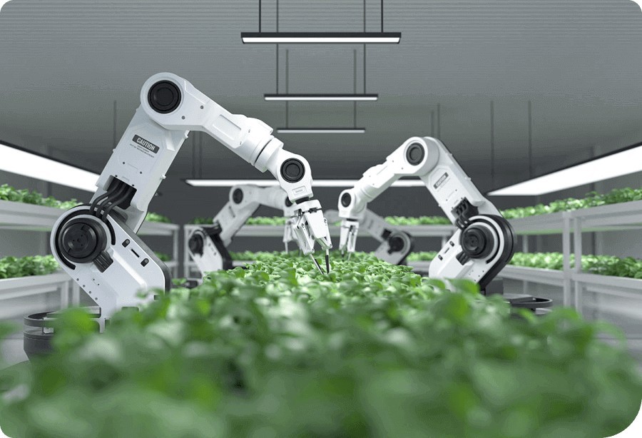 3 reasons why the right infrastructure support is essential for AI